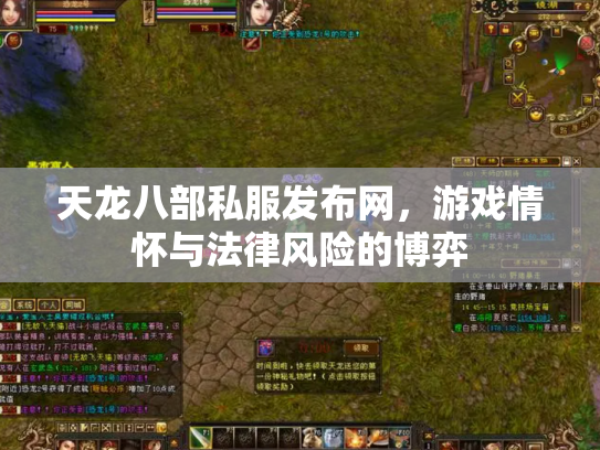 天龙八部私服发布网，游戏情怀与法律风险的博弈