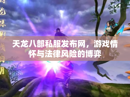 天龙八部私服发布网，游戏情怀与法律风险的博弈