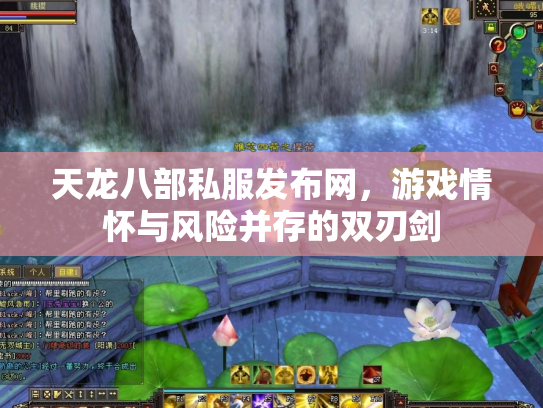 天龙八部私服发布网，游戏情怀与风险并存的双刃剑