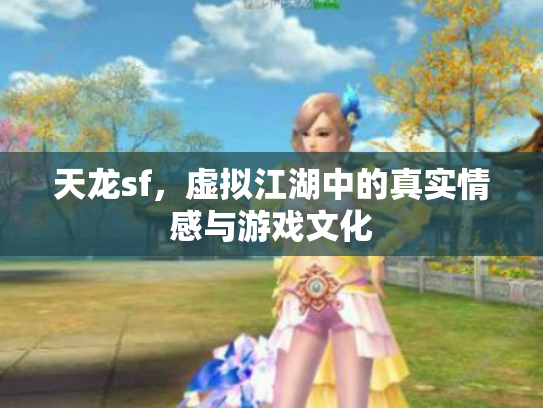天龙sf，虚拟江湖中的真实情感与游戏文化