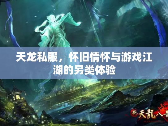 天龙私服，怀旧情怀与游戏江湖的另类体验