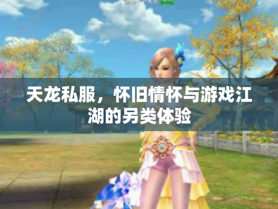 天龙私服，怀旧情怀与游戏江湖的另类体验