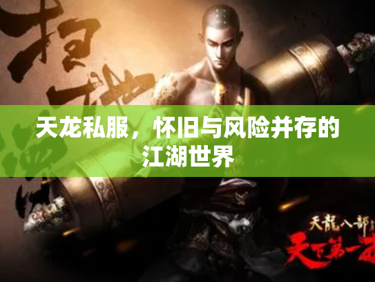 天龙私服，怀旧与风险并存的江湖世界