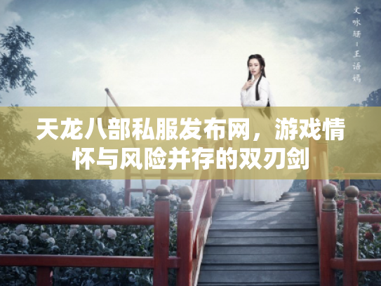 天龙八部私服发布网，游戏情怀与风险并存的双刃剑