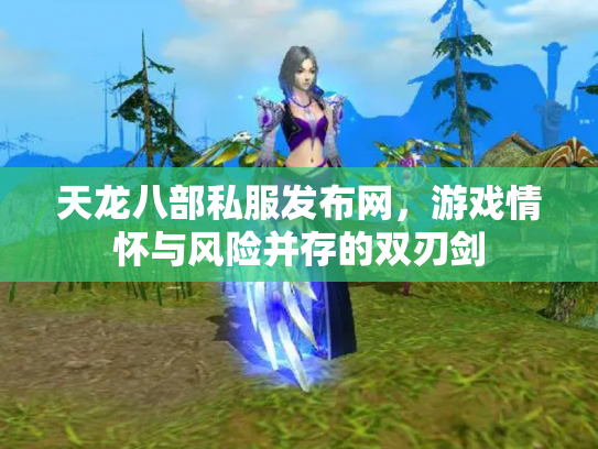 天龙八部私服发布网，游戏情怀与风险并存的双刃剑