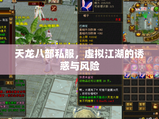 天龙八部私服，虚拟江湖的诱惑与风险
