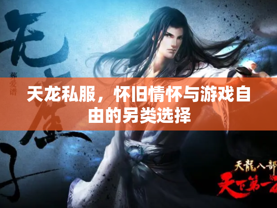 天龙私服，怀旧情怀与游戏自由的另类选择