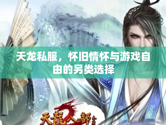 天龙私服，怀旧情怀与游戏自由的另类选择