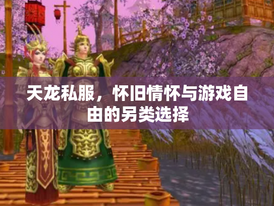 天龙私服，怀旧情怀与游戏自由的另类选择