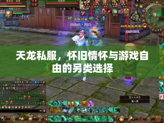 天龙私服，怀旧情怀与游戏自由的另类选择