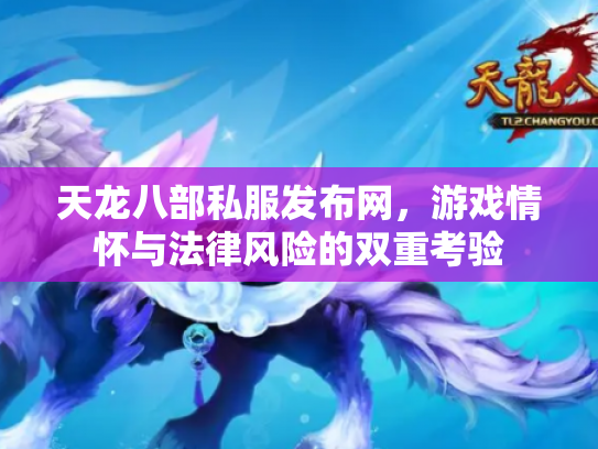 天龙八部私服发布网，游戏情怀与法律风险的双重考验