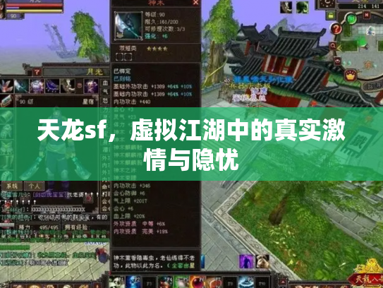 天龙sf，虚拟江湖中的真实激情与隐忧