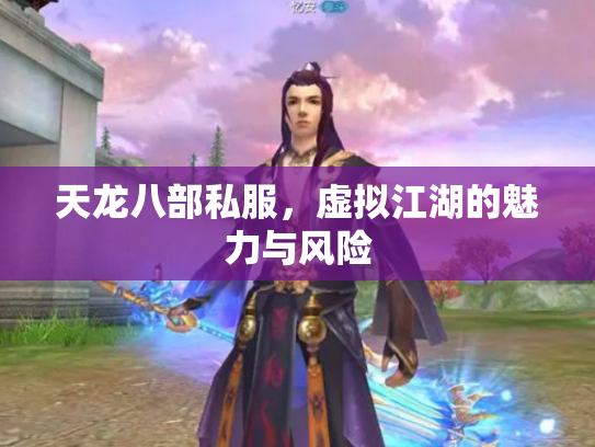 天龙八部私服，虚拟江湖的魅力与风险