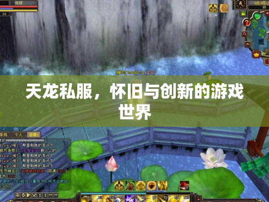 天龙私服，怀旧与创新的游戏世界