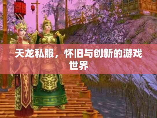 天龙私服，怀旧与创新的游戏世界