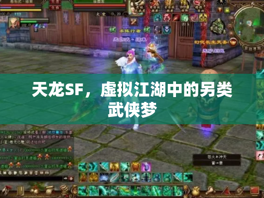 天龙SF，虚拟江湖中的另类武侠梦