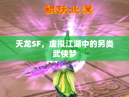 天龙SF，虚拟江湖中的另类武侠梦