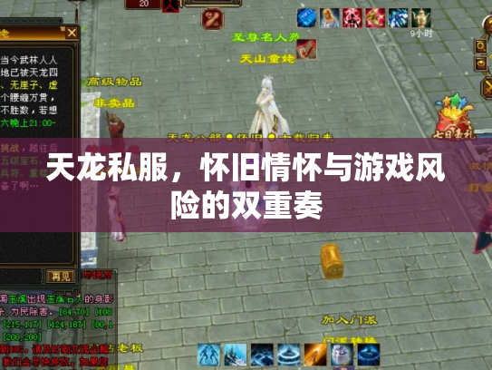 天龙私服，怀旧情怀与游戏风险的双重奏