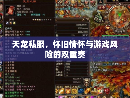 天龙私服，怀旧情怀与游戏风险的双重奏
