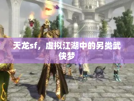 天龙sf，虚拟江湖中的另类武侠梦