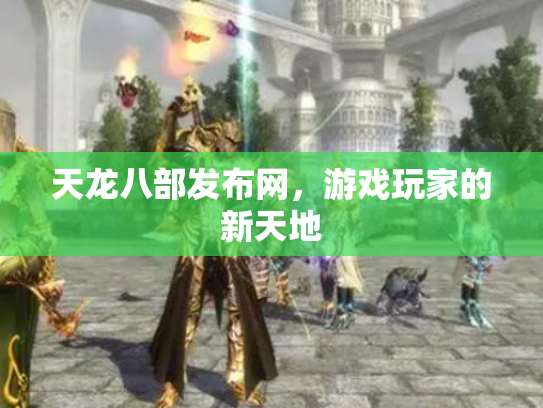 天龙八部发布网，游戏玩家的新天地