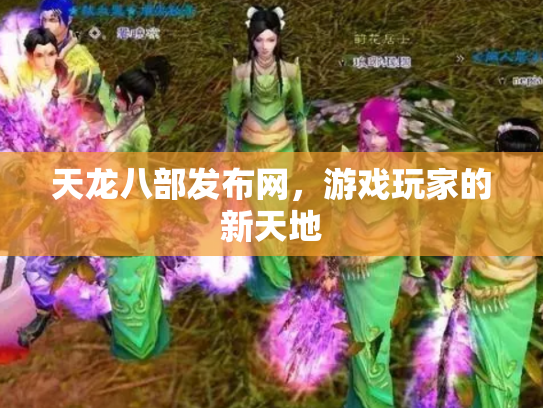 天龙八部发布网，游戏玩家的新天地