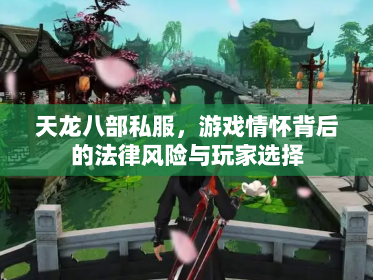 天龙八部私服，游戏情怀背后的法律风险与玩家选择