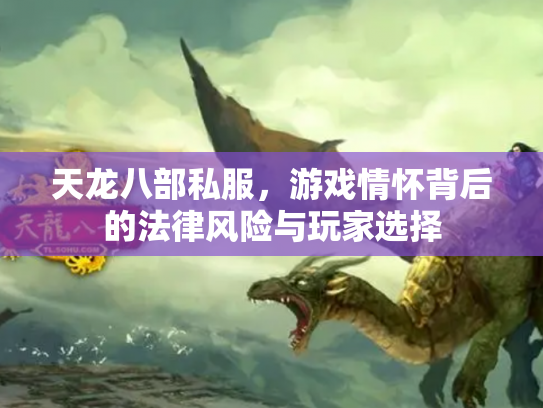 天龙八部私服，游戏情怀背后的法律风险与玩家选择