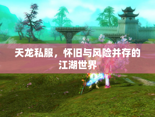 天龙私服，怀旧与风险并存的江湖世界