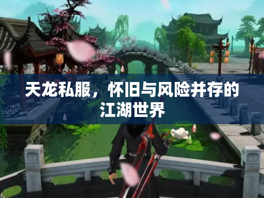 天龙私服，怀旧与风险并存的江湖世界