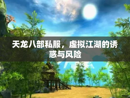 天龙八部私服，虚拟江湖的诱惑与风险