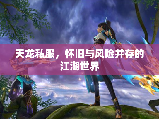天龙私服，怀旧与风险并存的江湖世界