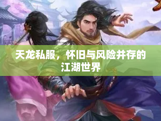 天龙私服，怀旧与风险并存的江湖世界