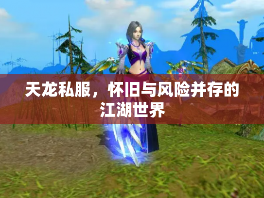 天龙私服，怀旧与风险并存的江湖世界