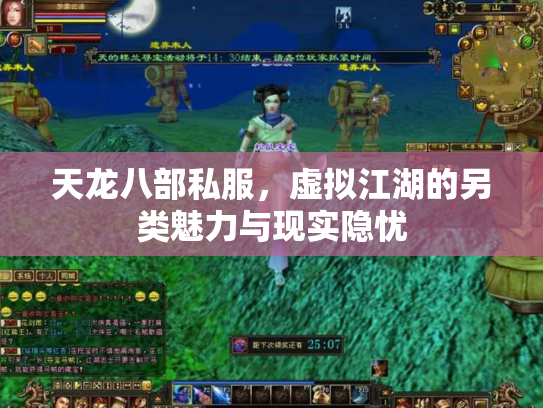 天龙八部私服，虚拟江湖的另类魅力与现实隐忧
