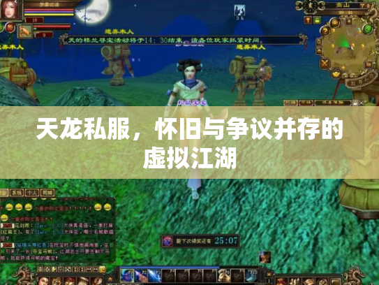 天龙私服，怀旧与争议并存的虚拟江湖