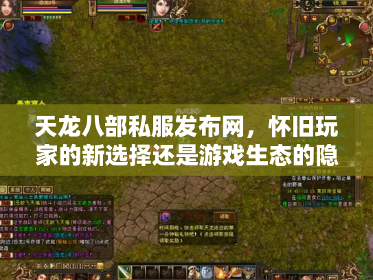 天龙八部私服发布网，怀旧玩家的新选择还是游戏生态的隐患？