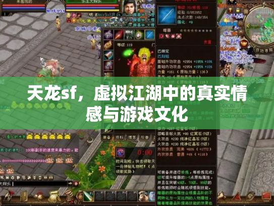 天龙sf，虚拟江湖中的真实情感与游戏文化