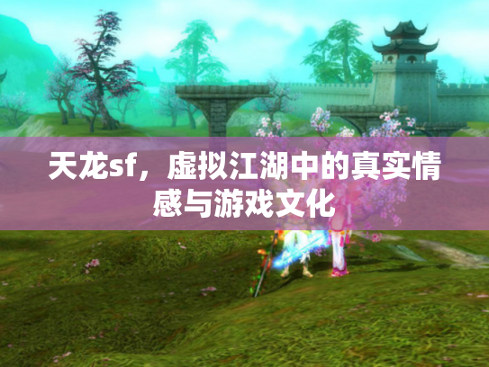 天龙sf，虚拟江湖中的真实情感与游戏文化