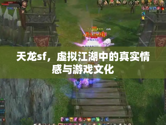 天龙sf，虚拟江湖中的真实情感与游戏文化