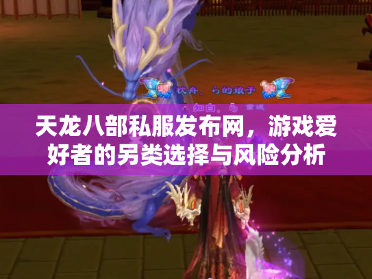 天龙八部私服发布网，游戏爱好者的另类选择与风险分析
