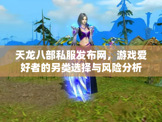 天龙八部私服发布网，游戏爱好者的另类选择与风险分析