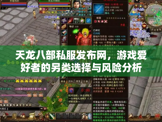 天龙八部私服发布网，游戏爱好者的另类选择与风险分析
