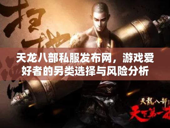 天龙八部私服发布网，游戏爱好者的另类选择与风险分析