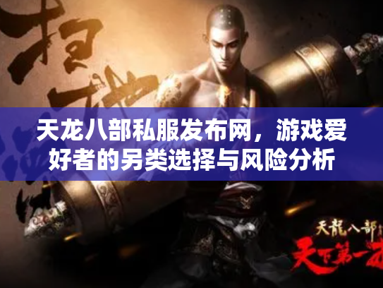 天龙八部私服发布网，游戏爱好者的另类选择与风险分析