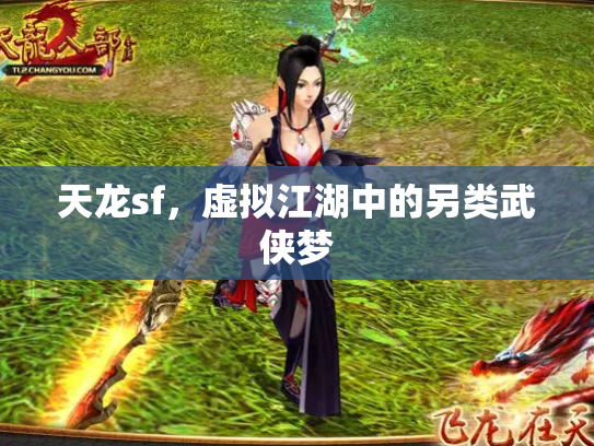 天龙sf，虚拟江湖中的另类武侠梦