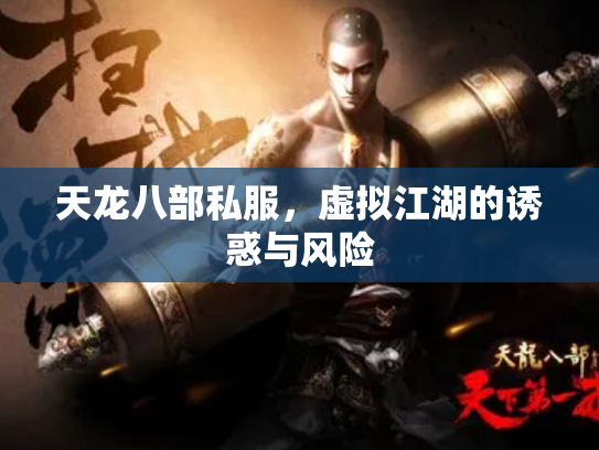 天龙八部私服，虚拟江湖的诱惑与风险