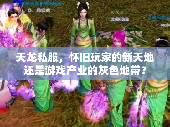 天龙私服，怀旧玩家的新天地还是游戏产业的灰色地带？