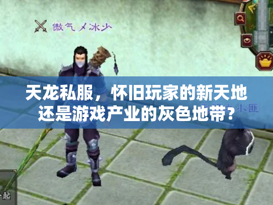 天龙私服，怀旧玩家的新天地还是游戏产业的灰色地带？