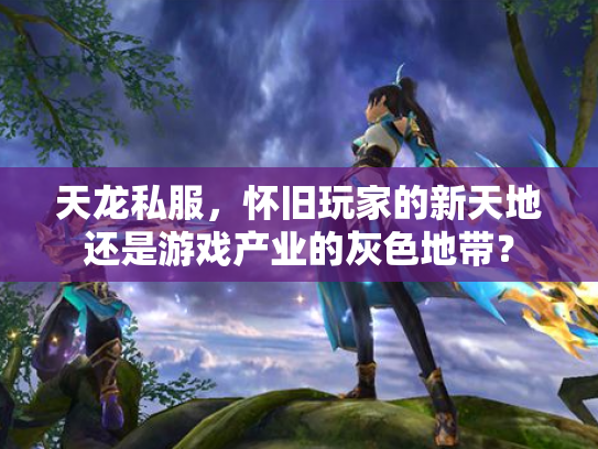 天龙私服，怀旧玩家的新天地还是游戏产业的灰色地带？
